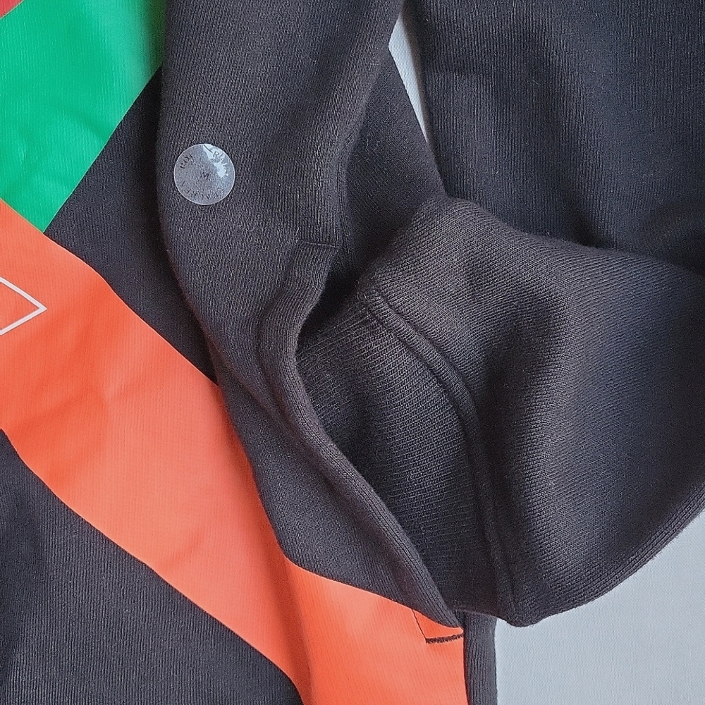NWT$249 Polo Ralph Lauren Colorblock Logo Print Fleece Hoodie Sweatshirt M - Picture 13 of 16